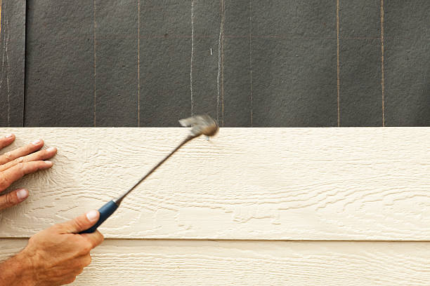 Best Siding for New Construction  in Salida, CA